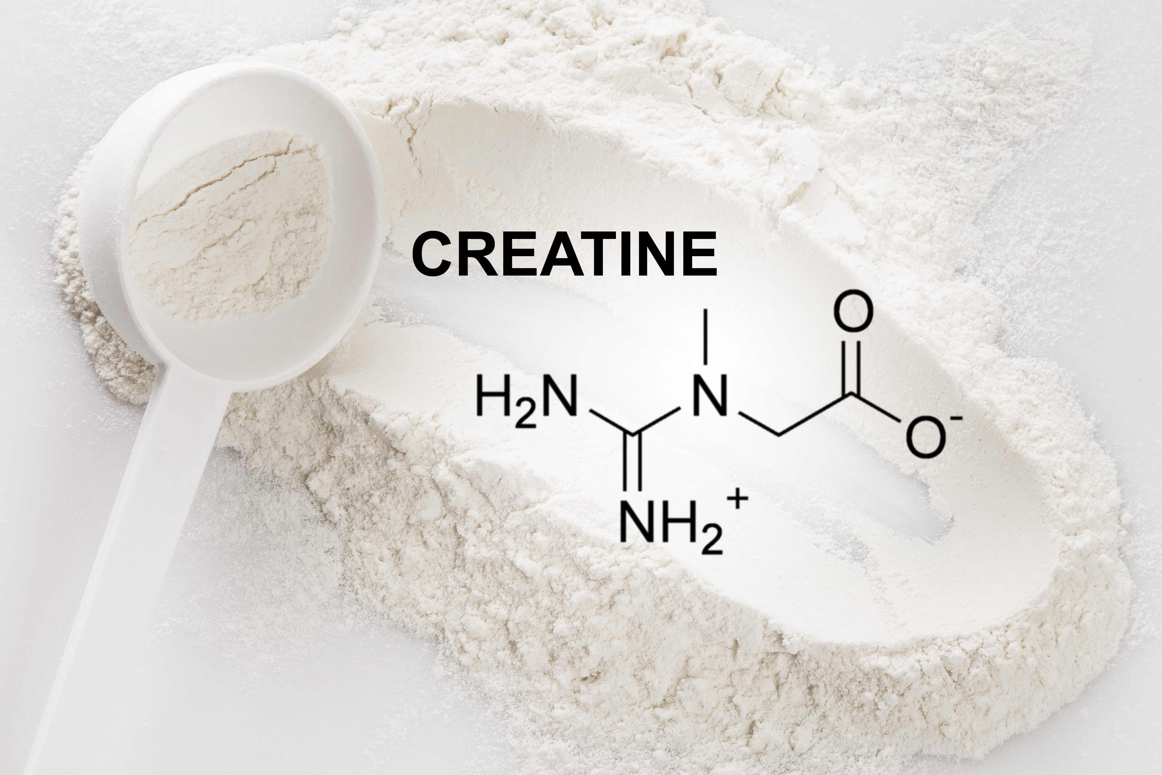 Creatine and Cognitive Support – More than Meets the Muscle 